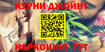 гашик Можга
