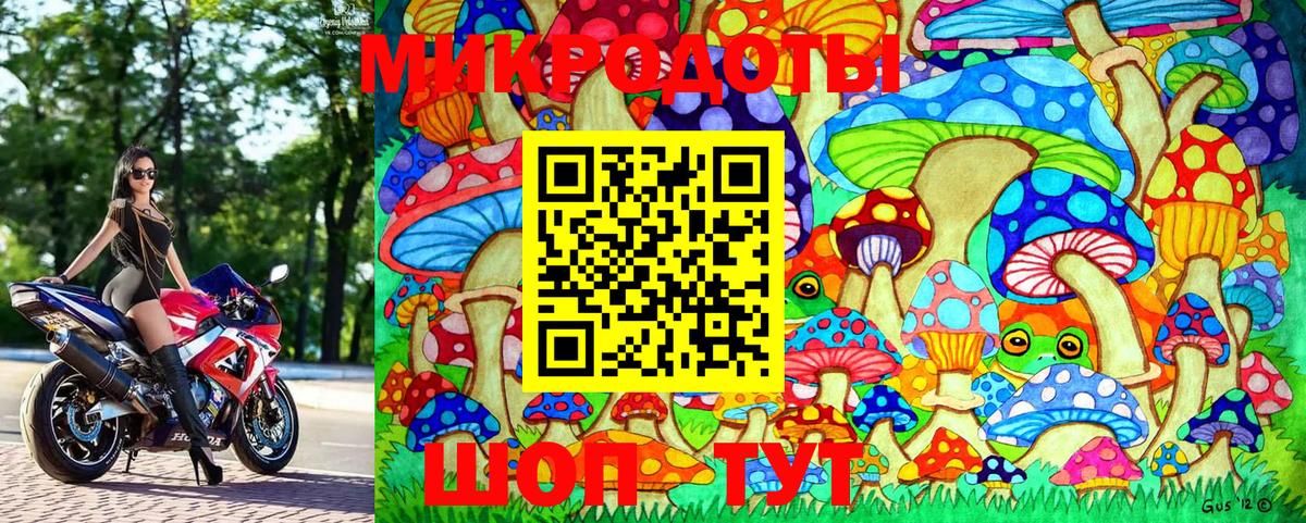 Галлюциногенные грибы Psilocybe Тула