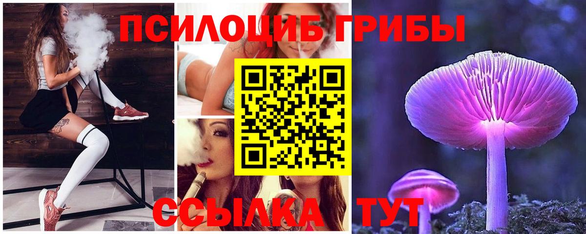 Тула  Псилоцибиновые грибы прущие грибы  Псилоцибиновые грибы Magic Shrooms  Вход с VPN 